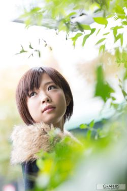 县委大院电视剧全集免费观看